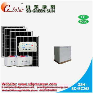 Solar DC Freezer/Refrigerator 268L for Home Use